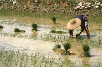 Li Jiang River Li Jiang River