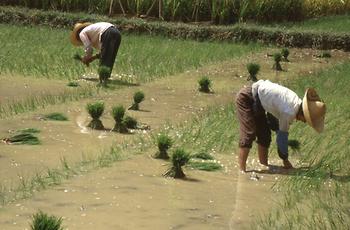 Li Jiang River Li Jiang River