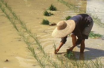 Li Jiang River Li Jiang River