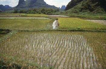 Li Jiang River Li Jiang River