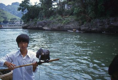Li Jiang River Li Jiang River