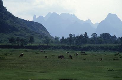 Li Jiang River Li Jiang River