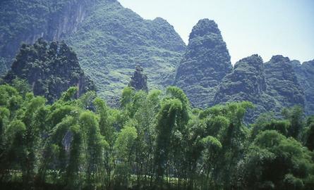 Li Jiang River Li Jiang River