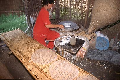 Rice-paper Rice-paper