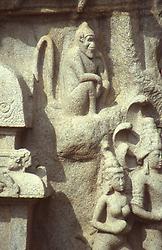 Gods and monkeys Gods and monkeys