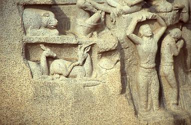 People and animals People and animals