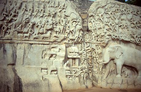 Cobras as Queens and Kings of the Waters