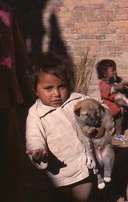 Trick with the “dear dog” Trick with the “dear dog”