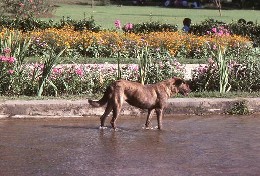 Fresh bath Fresh bath