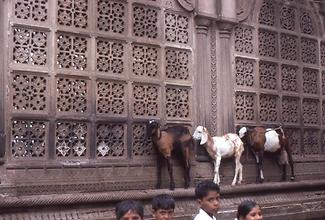 Marble grids Marble grids