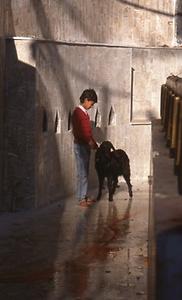 Kali is particularly well-disposed towards a mall black goat which is led to the sacrifice Kali is particularly well-disposed towards a mall black goat which is led to the sacrifice