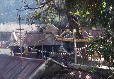 Four snakes Four snakes