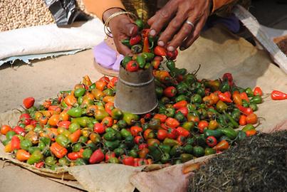 Food and goods Food and goods