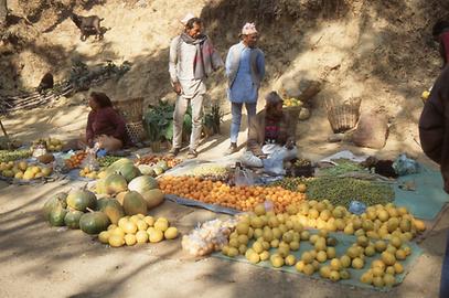 Food and goods Food and goods