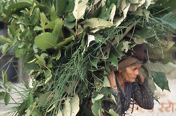 service men service men