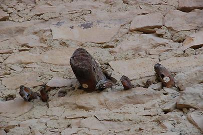 Mesa Verde Mesa Verde