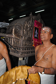 Brahmin Brahmin