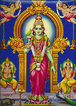 The modern devotional picture shows the goddess with her sons Ganesha on the left and Karttikeya on the right, both with their riding animals (vahana), a rat (mushika) and a peacock (mayura) The modern devotional picture shows the goddess with her sons Ganesha on the left and Karttikeya on the right, both with their riding animals (vahana), a rat (mushika) and a peacock (mayura)