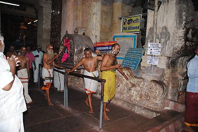 The litter appears The litter appears