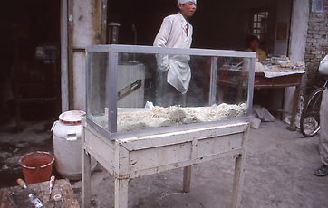 Making of noodles Making of noodles