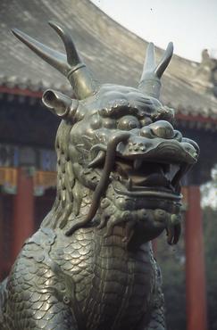Qilin Qilin