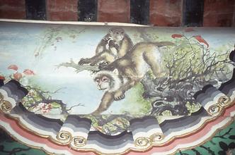 Two monkeys in the branches Two monkeys in the branches