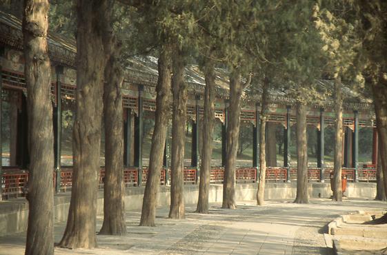 Architectural beauty Architectural beauty