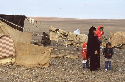 Bedouins Bedouins