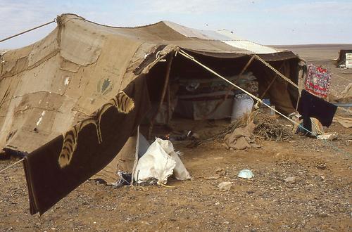 Bedouins Bedouins