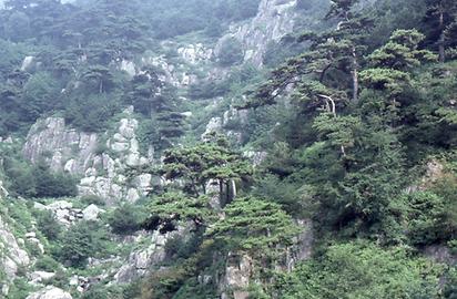 Tai Shan Tai Shan