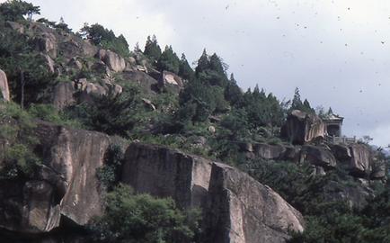 Tai Shan Tai Shan