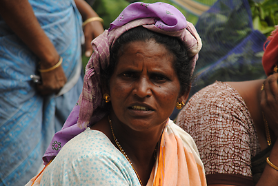 Tea-picker Tea-picker