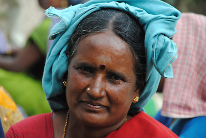 Teepflückerin Teepflückerin