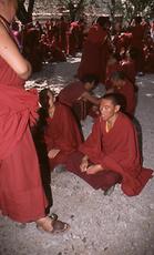 Disputation Disputation