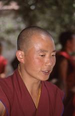 Disputation Disputation