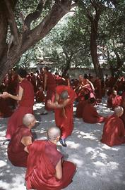 Disputation Disputation