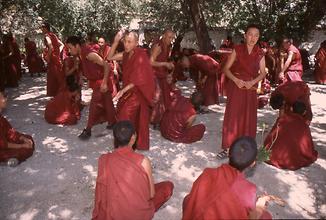 Disputation Disputation