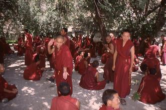 Disputation Disputation