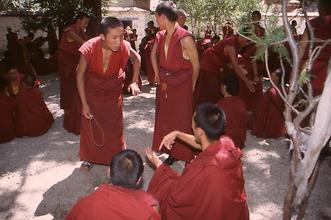 Disputation Disputation