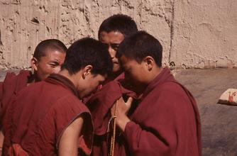 Disputation Disputation