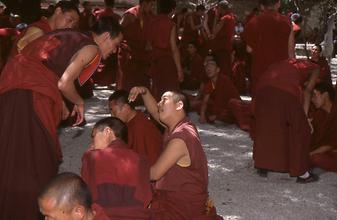 Disputation Disputation