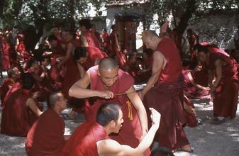 Disputation Disputation