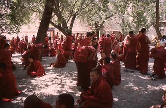 Disputation Disputation