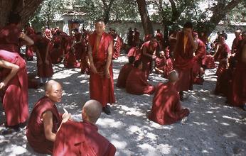 Disputation Disputation