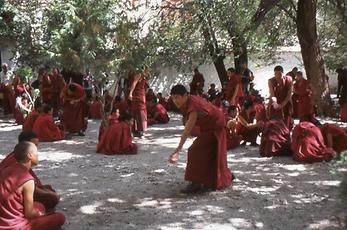 Disputation Disputation