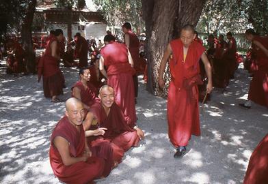 Disputation Disputation