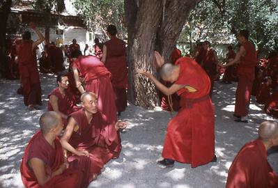 Disputation Disputation