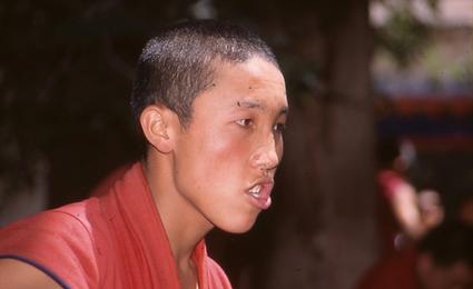 Disputation Disputation