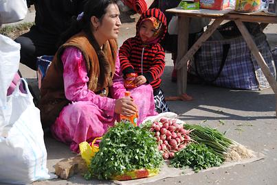 Vegetable stand Vegetable stand