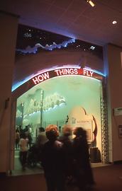 The visitors become to know the physical basis of flying at the very beginning